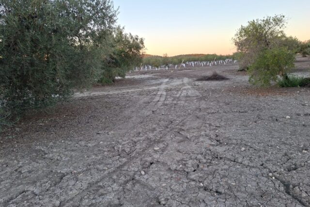 FINCA RUSTICA EN LAS MARIANAS